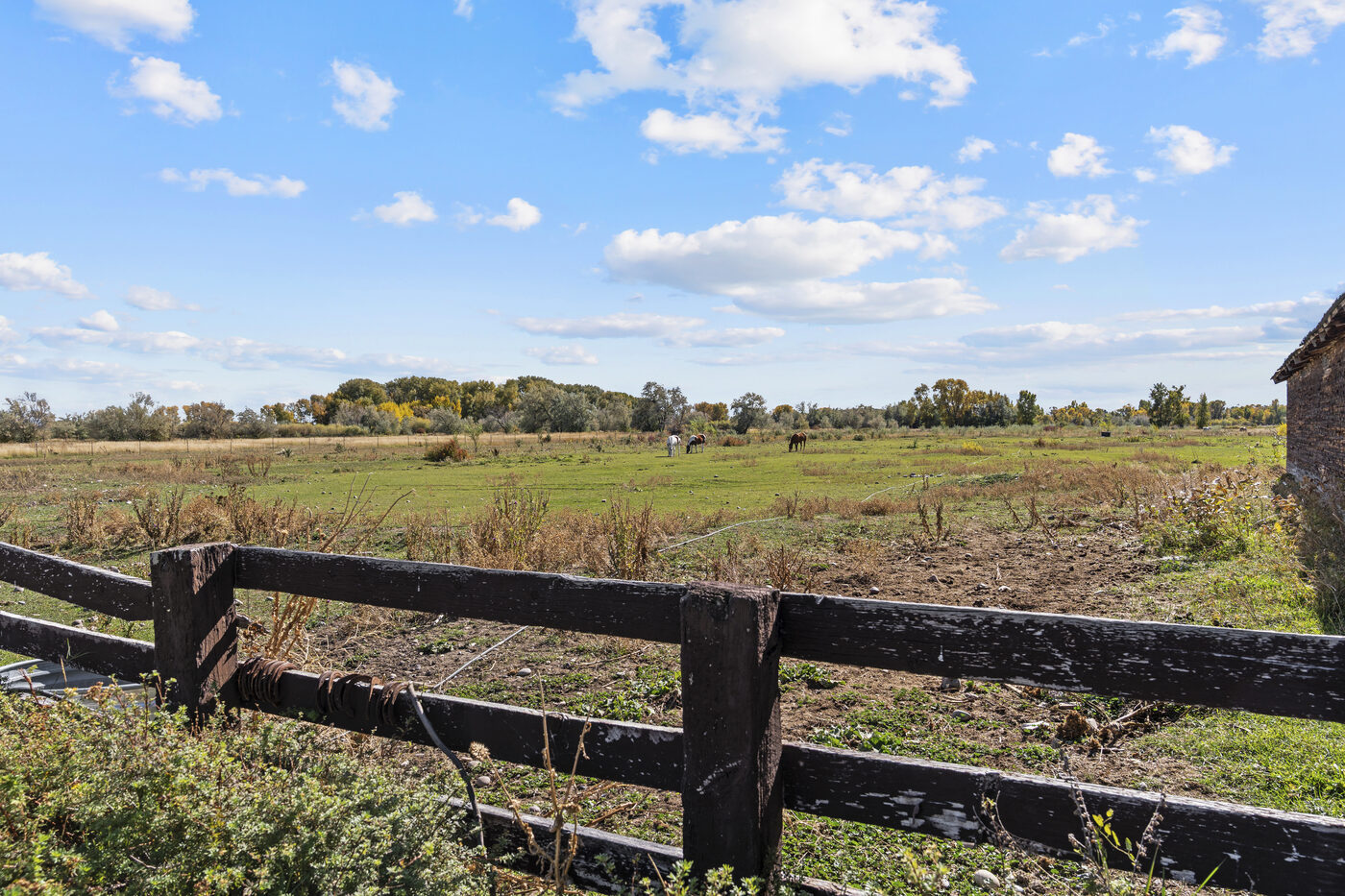 Open fenced pasture with horses and mountain views